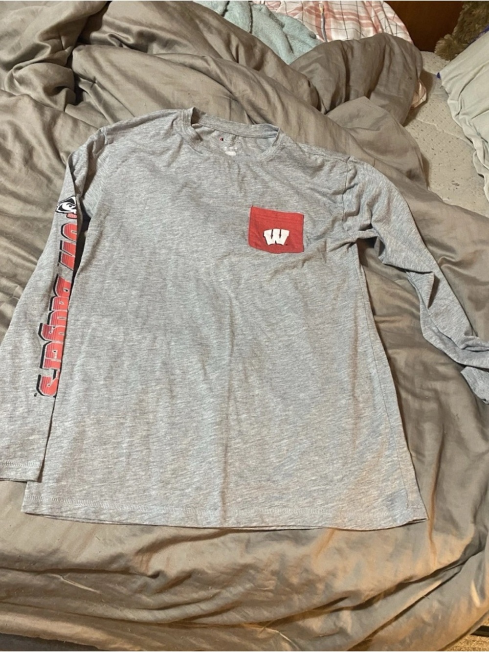 Champion WI Badgers Gray‎ Long-Sleeve Tee with Red Pocket and Sleeve Graphics